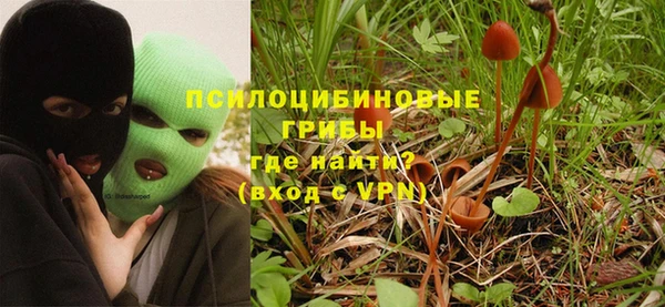 ешки Бугульма